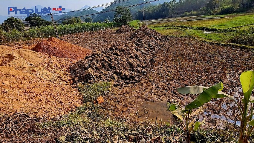 UBND huyện Sơn Dương thông tin về việc xử lý tình trạng doanh nghiệp múc đất rừng đi lấp ruộng